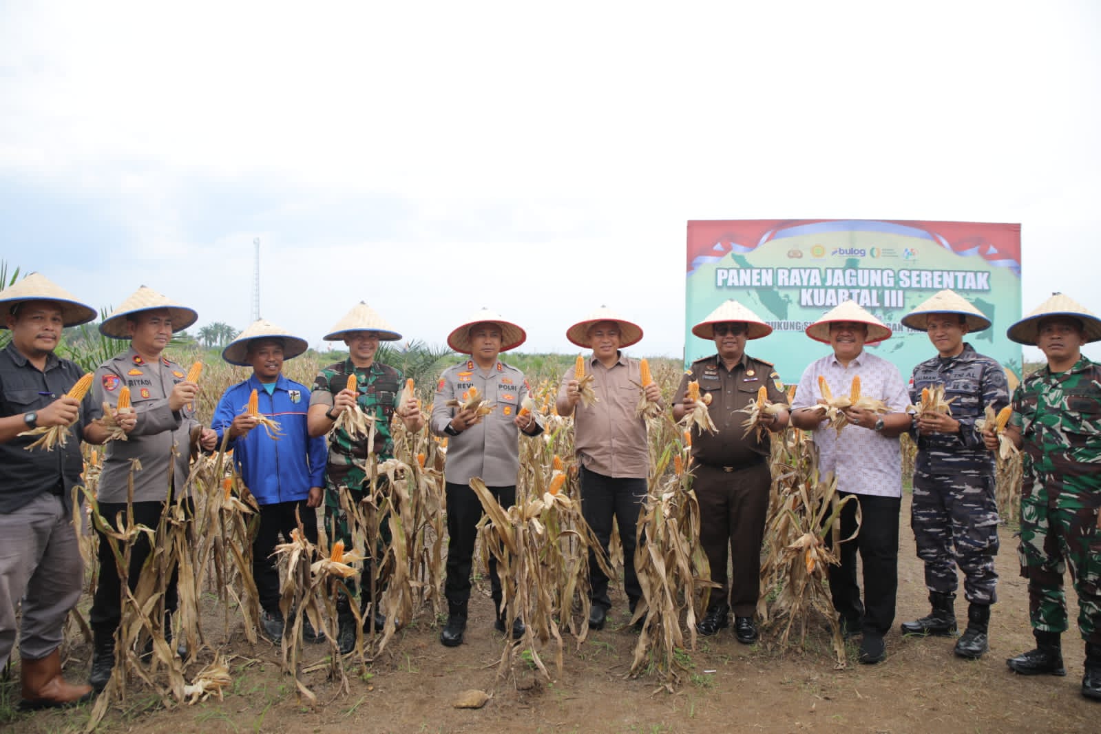 Polres Asahan bersama Forkopimda Kabupaten Asahan di Desa Perhutaan Silau, Kecamatan Pulo Bandring, Panen Jahung