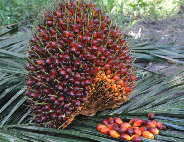 WhatsApp Image 2025-10-30 at 20.48.36